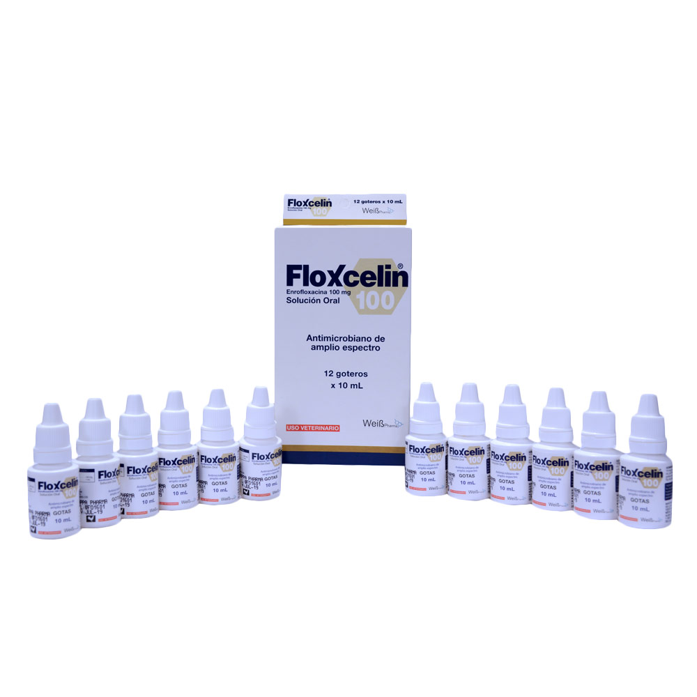 Floxcelin Oral 100
