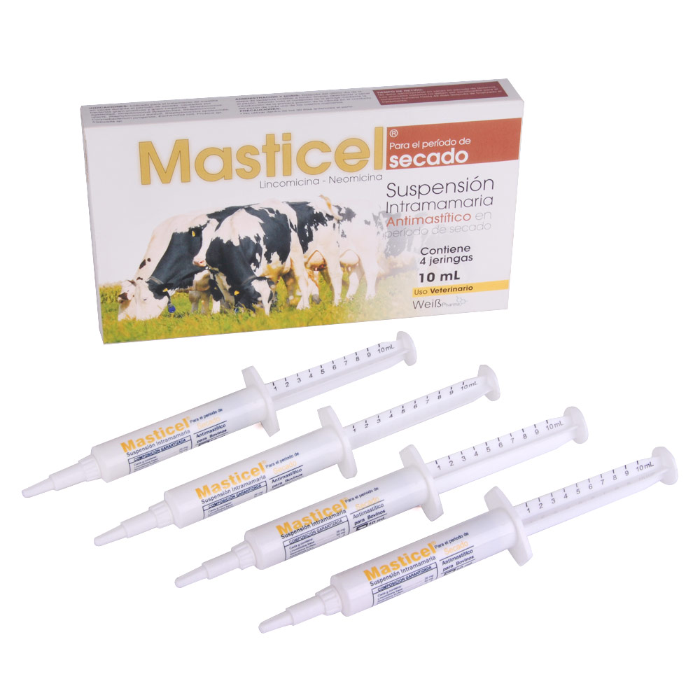 Maticel Secado
